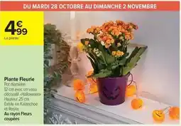 Carrefour Smirnoff - vodka offre