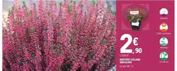 Action Couette 4 saisons comfibeds offre