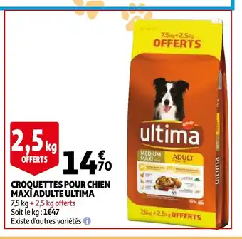Auchan Croquettes Pour Chien Maxi Adulte Ultima offre