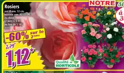Norma Rosiers offre