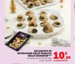 Escargots de bourgogne helix pomatia