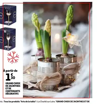 Auchan Grand Choix De Jacinthes Et De Contenants Décoratifs offre