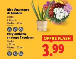 Conforama Fauteuil naomi offre