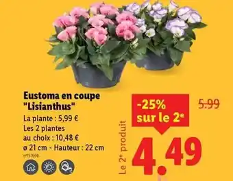 Conforama Saba - 2 portes offre