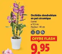 Conforama Samsung - réf. américain offre