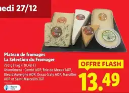 ALDI Jacinthe ou narcisse offre