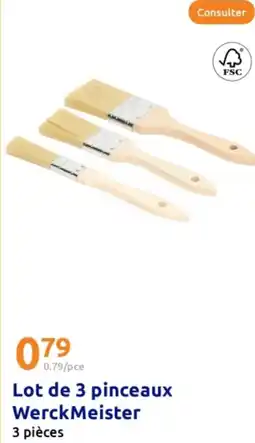 Action Lot de 3 pinceaux WerckMeister offre