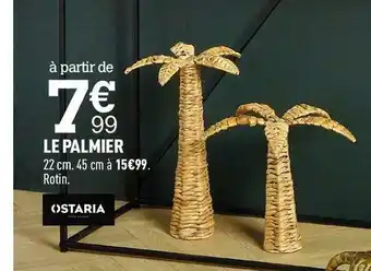 Centrakor Ostaria le palmier offre