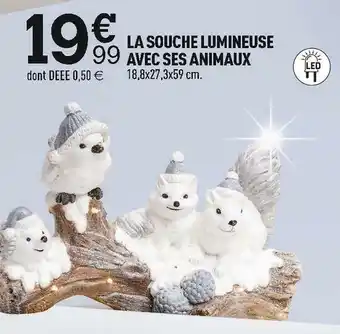 La souche lumineuse avec ses animaux