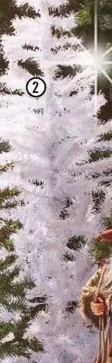 Le sapin élégant blanc