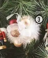 Centrakor La fleur de noël offre