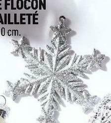 Centrakor Le flocon pailleté offre