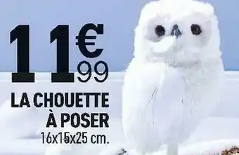 Centrakor La chouette à poser offre