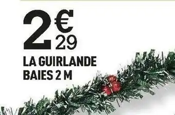 Centrakor La guirlande baies 2 m offre