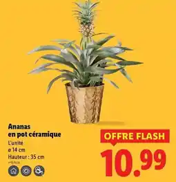 Carrefour Market Charles volner - vin mousseux offre