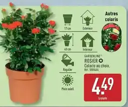 Carrefour Sun - préparation kit frangipane offre