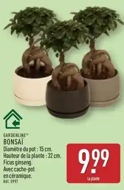 Carrefour Market Carrefour - crémant de douche etvranc dulce-plamon- le petit marseillais offre