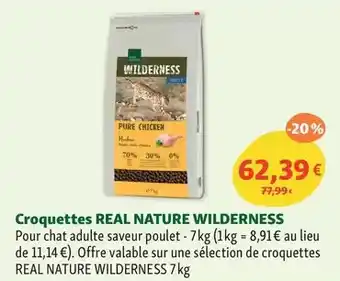 Hyper U Nestlé - ricore offre