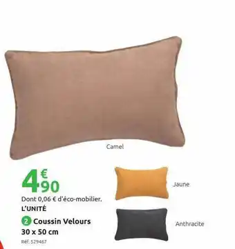 Mr Bricolage Coussin Velours 30 X 50 Cm offre