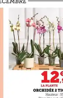 Conforama Parure plump a partir de offre