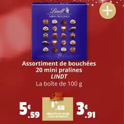 Coccinelle Supermarché LINDT Assortiment de bouchées 20 mini pralines offre