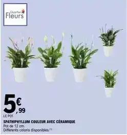 ALDI Plaque à induction offre