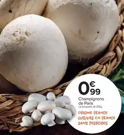 Auchan Auchan - rosette offre