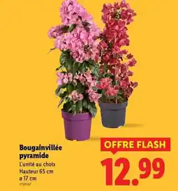 Lidl Milbona - gouda holland igp jaune offre