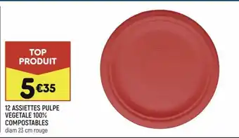 12 Assiettes Pulpe Vegetale 100% Compostables