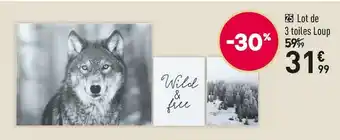 Conforama Lot de 3 toiles loup offre