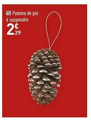 Conforama Pomme de pin a suspendre offre