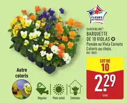 ALDI GARDENLINE® Barquette de 10 violas offre