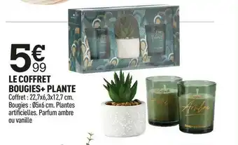 Centrakor Le coffret bougies+ plante offre