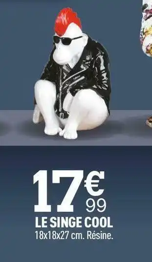 Le singe cool