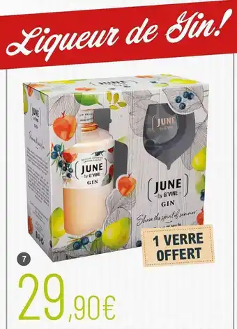 Liqueur de gin june by g’vine pêche 30% vol.