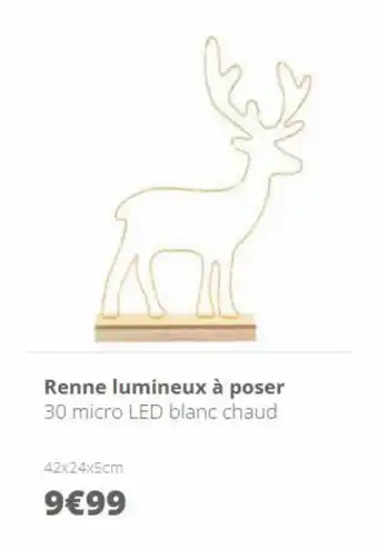 Renne lumineux à poser