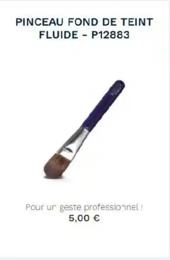 Stanhome Pinceau fond de teint fluide offre