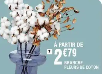 La Foir'Fouille Branche fleurs de coton offre