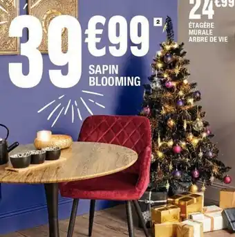 La Foir'Fouille Sapin blooming offre