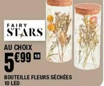 La Foir'Fouille Bouteille fleurs séchées 10 LED offre