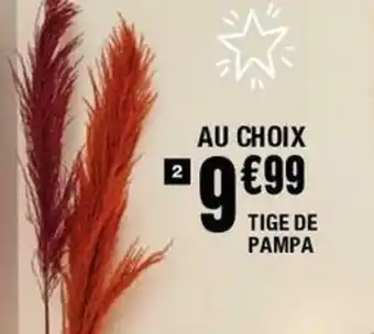 La Foir'Fouille Tige de pampa offre