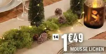 La Foir'Fouille Mousse lichen offre