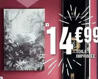 Toile imprimée