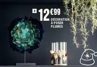 La Foir'Fouille Décoration à poser plumes offre