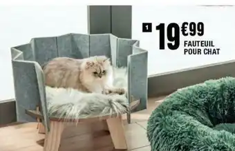 La Foir'Fouille Fauteuil pour chat offre