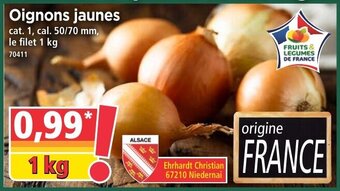 Norma Oignons Jaunes offre