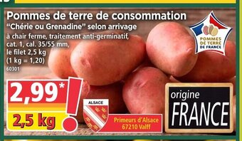 Norma Pommes De Terre De Consommation offre