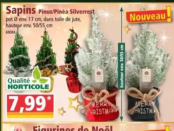 Norma Sapins offre