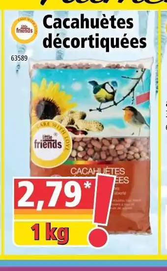 Cacahuétes Décortiquées