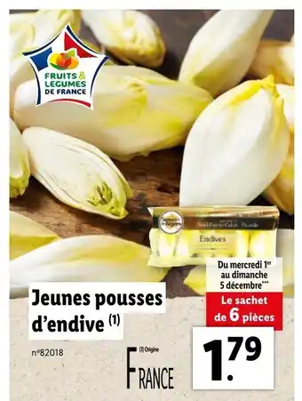 Jeunes Pousses D'Endive